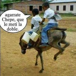 Meet your Posher, Gerardo